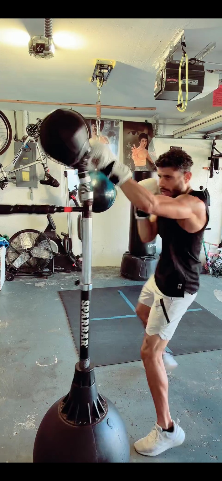 Hector's garage boxing precision work